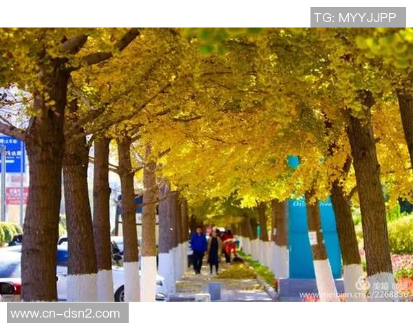 八一足球的辉煌历程与未来展望：传承精神与推动发展的双重使命