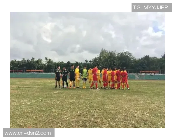 永昌足球队奋勇拼搏续写辉煌历史展现团队精神与激情风采 永昌足球队奋勇拼搏续写辉煌历史展现团队精神与激情风采